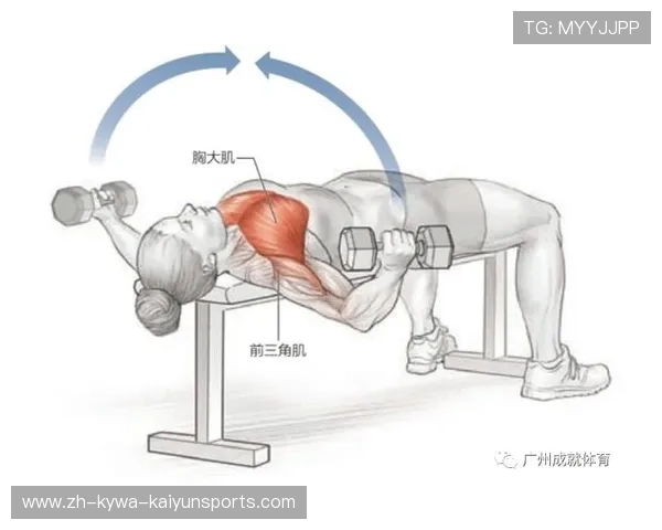 飞鸟多功能组合器械解锁科学健身方案
